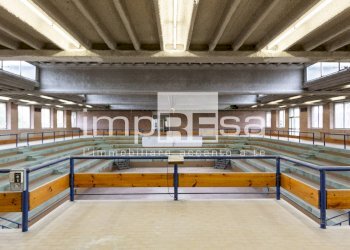 Foto 33 - Magazzino Via Galileo Ferraris, Pordenone - foto 33