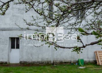 Foto 3 - Quadrilocale VIA PASTRENGO
 
SN, Fontanafredda - foto 3