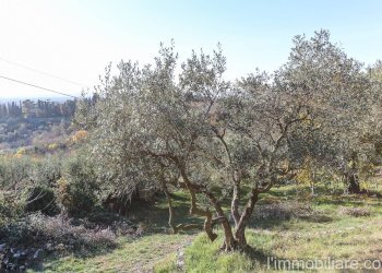 Foto 2 - Villa Via San Rocchetto Di Quinzano, Verona - foto 2