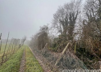 Foto 11 - Rustico Via San Giovanni
 
34, Povegliano Veronese - foto 11