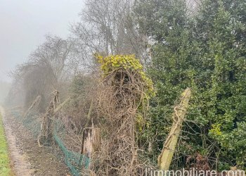 Foto 12 - Rustico Via San Giovanni
 
34, Povegliano Veronese - foto 12