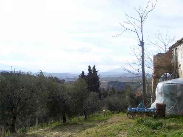 Foto 3 - Rustic contrada valle apparignano, Acquaviva Picena - photo 3