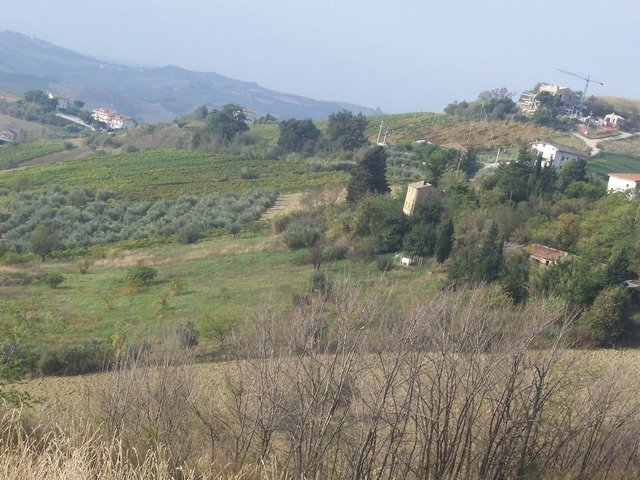 Foto 3 - Rustico Ripatransone - foto 3