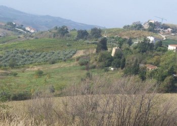 Foto 3 - Rustico Ripatransone - foto 3