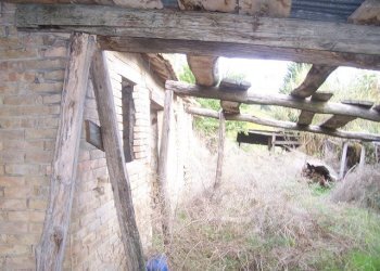 Foto 4 - Rustico Ripatransone - foto 4