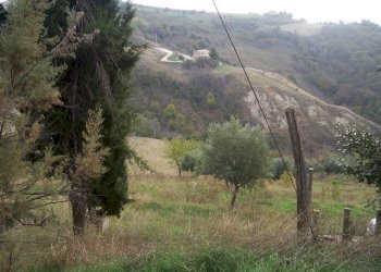Foto 5 - Rustico Ripatransone - foto 5
