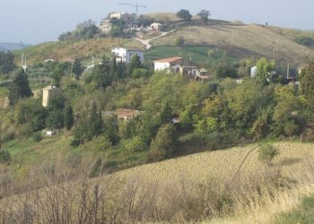 Foto 7 - Rustico Ripatransone - foto 7