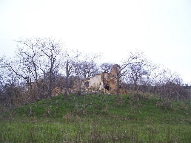 Foto 3 - Rustico Ripatransone - foto 3