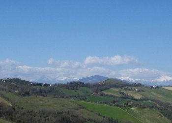 Foto 1 - Rustico Ripatransone - foto 1