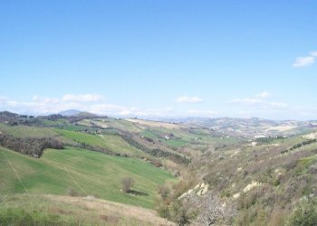 Foto 4 - Rustico Ripatransone - foto 4