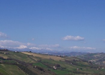 Foto 6 - Rustico Ripatransone - foto 6