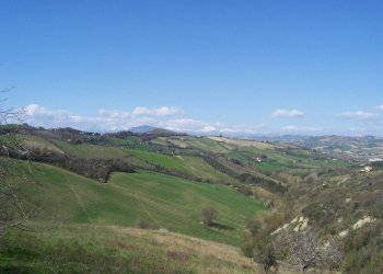 Foto 8 - Rustico Ripatransone - foto 8