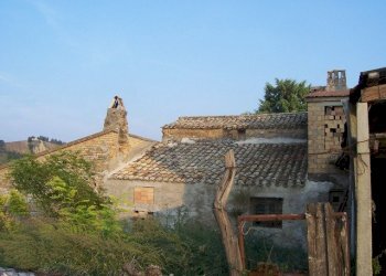 Foto 1 - Rustico c.da forola, Acquaviva Picena - foto 1