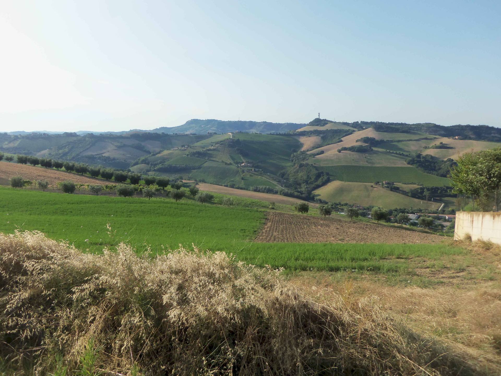 Foto 2 - Terreno edificabile Via Manzoni, Acquaviva Picena - foto 2