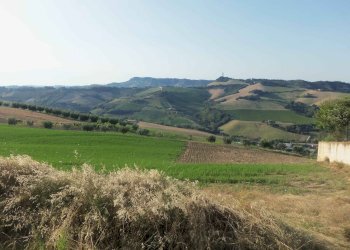 Foto 2 - Terreno edificabile Via Manzoni, Acquaviva Picena - foto 2