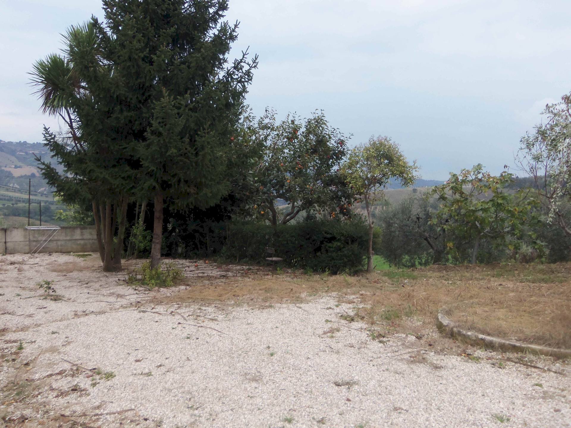 Foto 2 - Rustic Contrada San Giacomo, Acquaviva Picena - photo 2