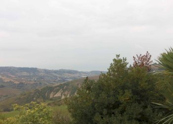 Foto 16 - Rustico Contrada San Giacomo, Acquaviva Picena - foto 16