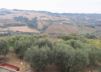 Foto 18 - Rustico Contrada San Giacomo, Acquaviva Picena - foto 18