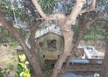 Foto 26 - Rustico Contrada San Giacomo, Acquaviva Picena - foto 26