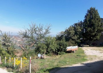 Foto 8 - Terreno edificabile via Roma, Acquaviva Picena - foto 8