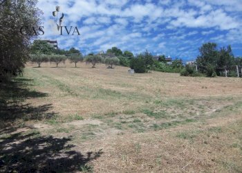 Foto 11 - Terreno edificabile Via Della Tartana, Acquaviva Picena - foto 11