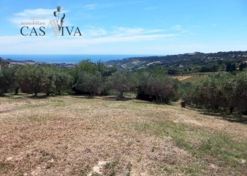 Foto 15 - Terreno edificabile Via Della Tartana, Acquaviva Picena - foto 15