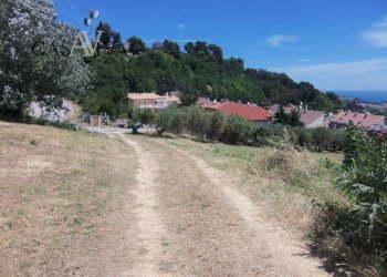 Foto 16 - Terreno edificabile Via Della Tartana, Acquaviva Picena - foto 16