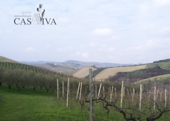 Foto 11 - Rustico contrada forola
 
18, Acquaviva Picena - foto 11