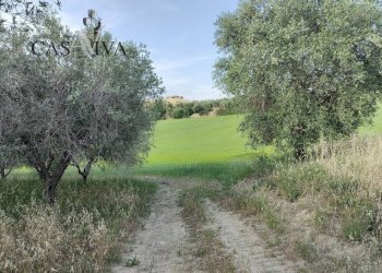 Foto 20 - Rustico contrada forola
 
18, Acquaviva Picena - foto 20