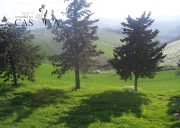 Foto 23 - Rustico contrada forola
 
18, Acquaviva Picena - foto 23