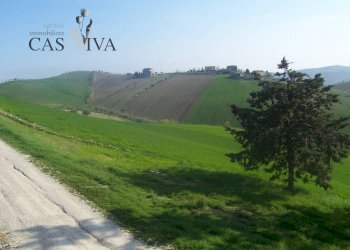 Foto 24 - Rustico contrada forola
 
18, Acquaviva Picena - foto 24