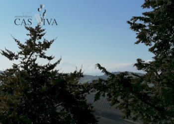 Foto 32 - Rustico contrada forola
 
18, Acquaviva Picena - foto 32