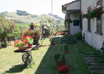 Foto 1 - Rustico Contrada S. Maria in Accubitu
 
14, Acquaviva Picena - foto 1