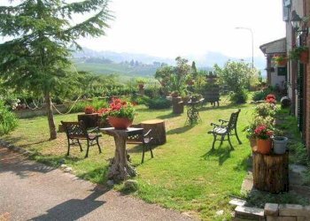 Foto 6 - Rustico Contrada S. Maria in Accubitu
 
14, Acquaviva Picena - foto 6