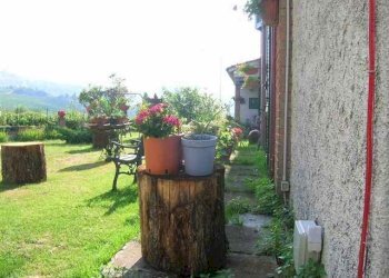 Foto 23 - Rustico Contrada S. Maria in Accubitu
 
14, Acquaviva Picena - foto 23