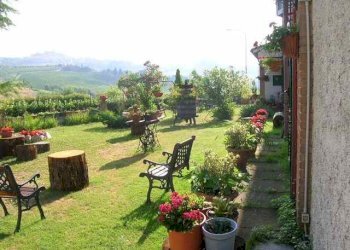 Foto 24 - Rustico Contrada S. Maria in Accubitu
 
14, Acquaviva Picena - foto 24