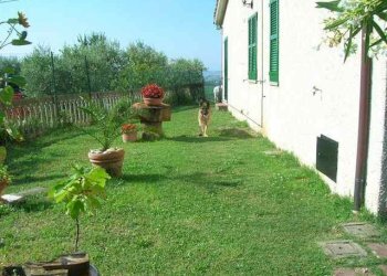 Foto 30 - Rustico Contrada S. Maria in Accubitu
 
14, Acquaviva Picena - foto 30