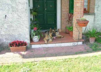 Foto 33 - Rustico Contrada S. Maria in Accubitu
 
14, Acquaviva Picena - foto 33