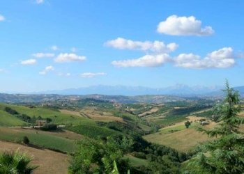 Foto 36 - Rustico Contrada S. Maria in Accubitu
 
14, Acquaviva Picena - foto 36