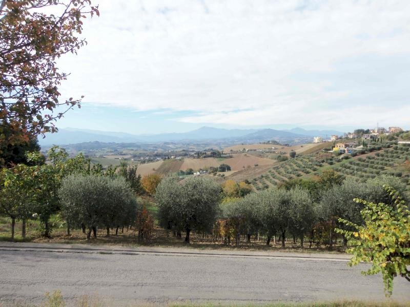 Foto 2 - Terreno edificabile via san francesco, Acquaviva Picena - foto 2