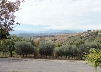 Foto 2 - Terreno edificabile via san francesco, Acquaviva Picena - foto 2