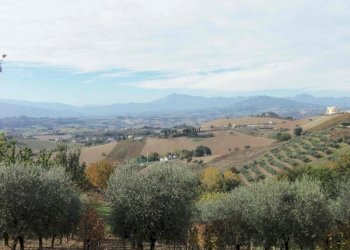 Foto 5 - Terreno edificabile via san francesco, Acquaviva Picena - foto 5