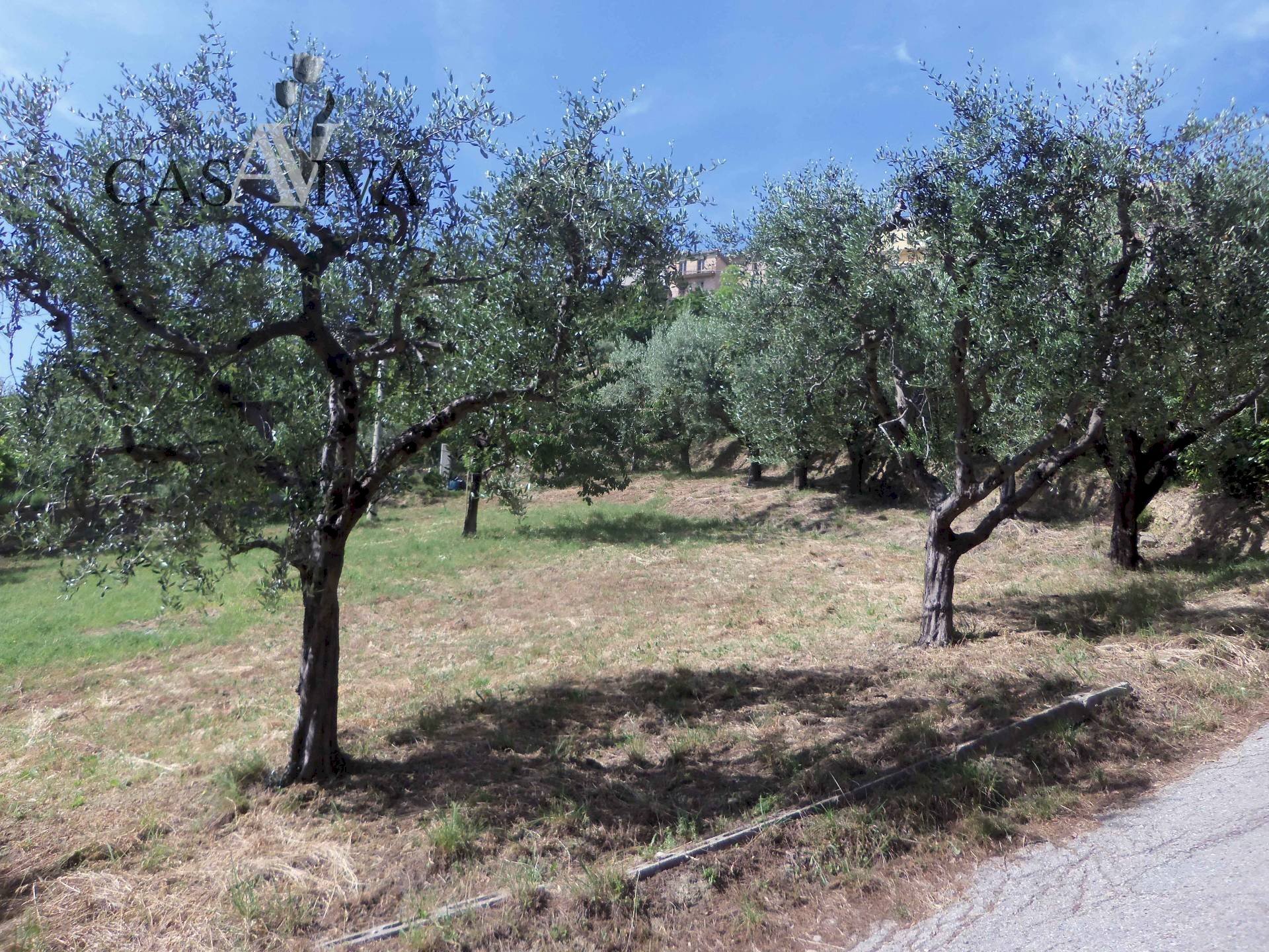 Foto 3 - Terreno edificabile Via Fausto Coppi, Acquaviva Picena - foto 3