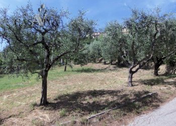 Foto 3 - Terreno edificabile Via Fausto Coppi, Acquaviva Picena - foto 3