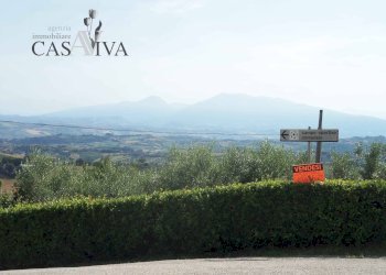 Foto 5 - Terreno edificabile Via Fausto Coppi, Acquaviva Picena - foto 5