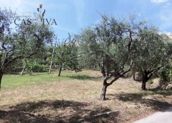 Foto 6 - Terreno edificabile Via Fausto Coppi, Acquaviva Picena - foto 6