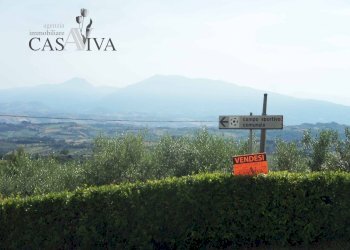 Foto 7 - Terreno edificabile Via Fausto Coppi, Acquaviva Picena - foto 7