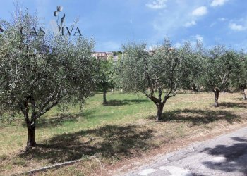 Foto 8 - Terreno edificabile Via Fausto Coppi, Acquaviva Picena - foto 8