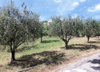 Foto 11 - Terreno edificabile Via Fausto Coppi, Acquaviva Picena - foto 11