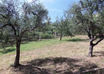 Foto 13 - Terreno edificabile Via Fausto Coppi, Acquaviva Picena - foto 13